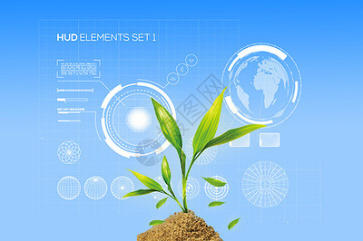 生物學(xué)突觸圖片