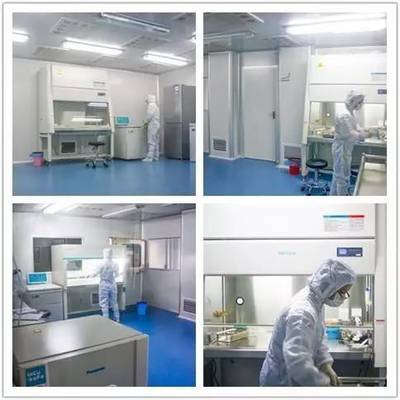 國際護士節|最美護士帶你看懂基因檢測與常規體檢的區別