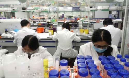 南京 新年第一會 真金白銀支持民營經濟發展壯大