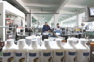 河北樂(lè)亭 承接京津產(chǎn)業(yè)轉(zhuǎn)移，打造生物科技聚集高地